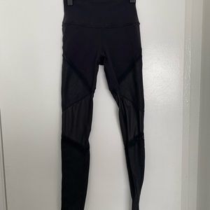 Gym shark leggings